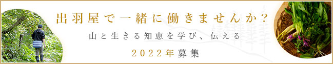 採用情報2022