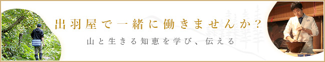 採用情報
