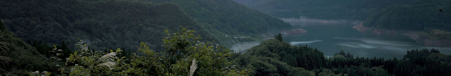 出羽屋の歴史