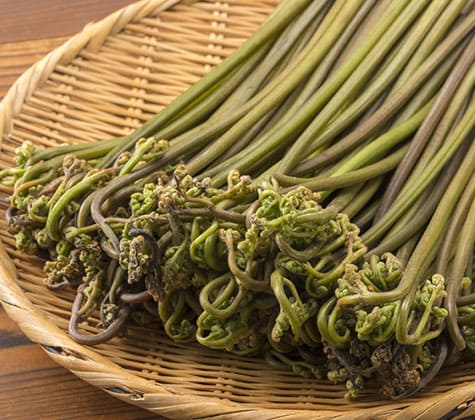 季節ごとの山菜紹介