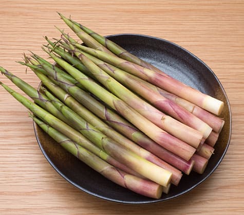 季節ごとの山菜紹介